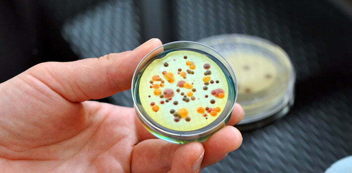 Granska effektiviteten på lika villkor mellan alternativ och klinisk medicin (skolmedicin)